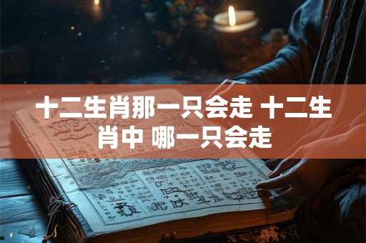 十二生肖那一只会走 十二生肖中 哪一只会走