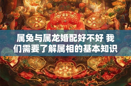 属兔与属龙婚配好不好 我们需要了解属相的基本知识和特点