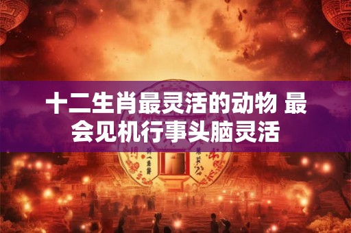 十二生肖最灵活的动物 最会见机行事头脑灵活