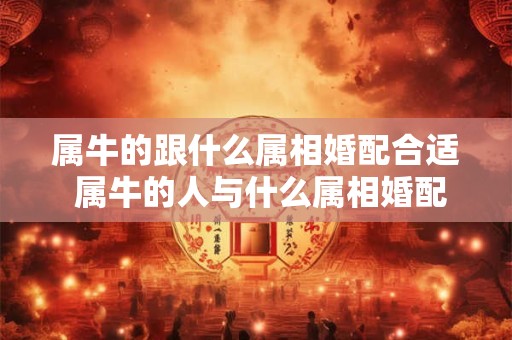 属牛的跟什么属相婚配合适 属牛的人与什么属相婚配