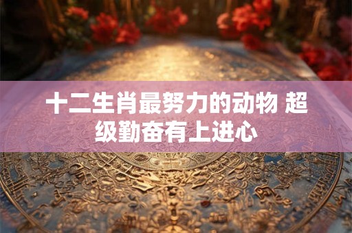 十二生肖最努力的动物 超级勤奋有上进心