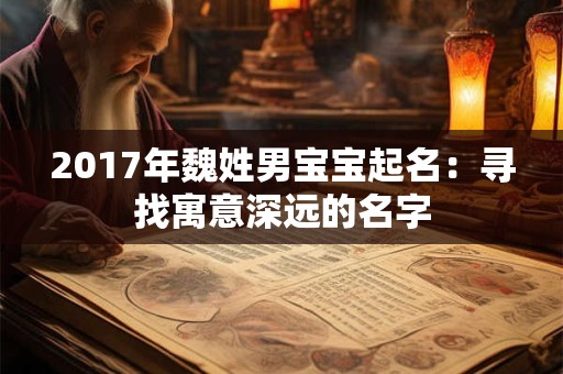 2017年魏姓男宝宝起名：寻找寓意深远的名字
