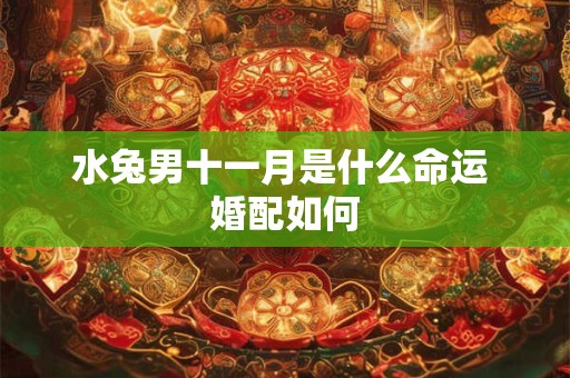 水兔男十一月是什么命运 婚配如何