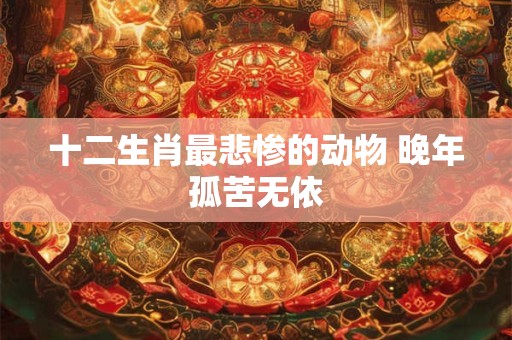 十二生肖最悲惨的动物 晚年孤苦无依