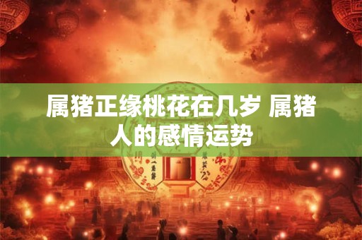 属猪正缘桃花在几岁 属猪人的感情运势