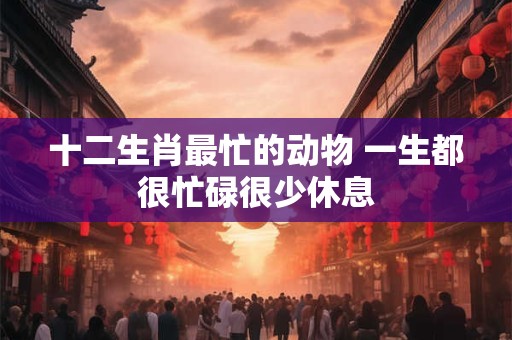 详细阅读:十二生肖最忙的动物 一生都很忙碌很少休息 十二生肖最忙的动物 一生都很忙碌很少休息