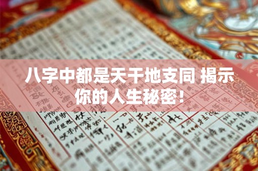 八字中都是天干地支同 揭示你的人生秘密！