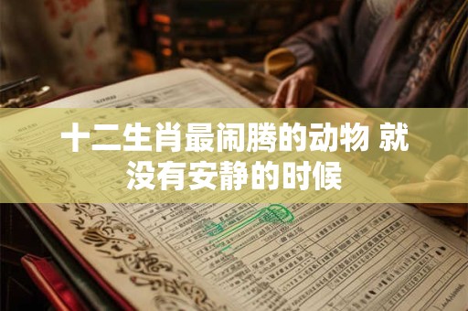十二生肖最闹腾的动物 就没有安静的时候