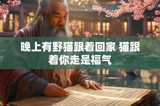 晚上有野猫跟着回家 猫跟着你走是福气