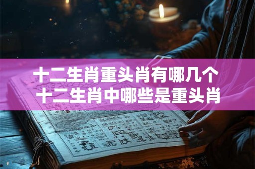 十二生肖重头肖有哪几个 十二生肖中哪些是重头肖