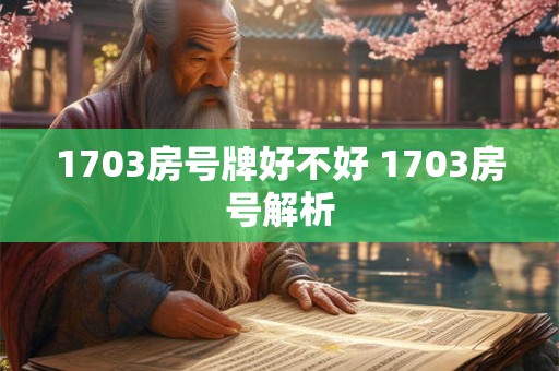 1703房号牌好不好 1703房号解析