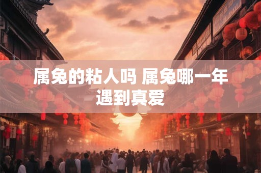 属兔的粘人吗 属兔哪一年遇到真爱