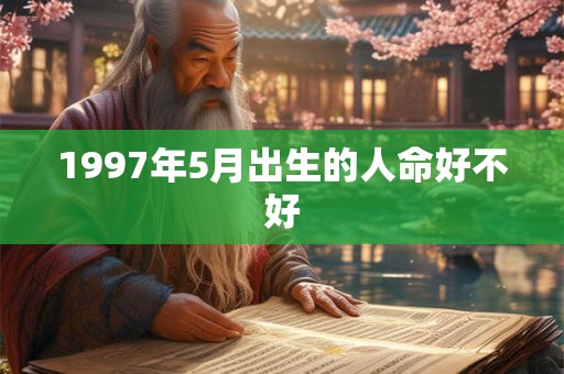 1997年5月出生的人命好不好