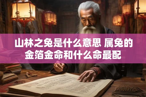 山林之兔是什么意思 属兔的金箔金命和什么命最配