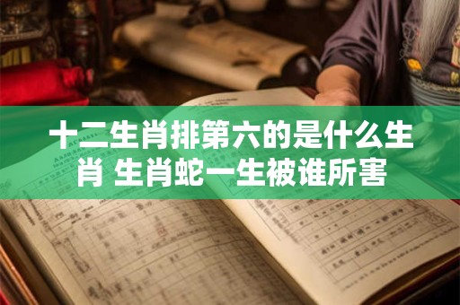 十二生肖排第六的是什么生肖 生肖蛇一生被谁所害