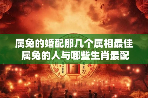 属兔的婚配那几个属相最佳 属兔的人与哪些生肖最配