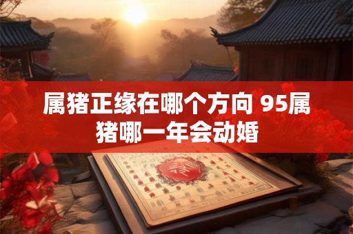属猪正缘在哪个方向 95属猪哪一年会动婚