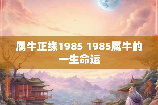 属牛正缘1985 1985属牛的一生命运