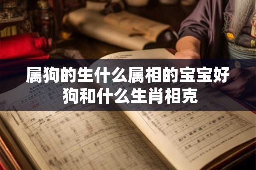 属狗的生什么属相的宝宝好 狗和什么生肖相克