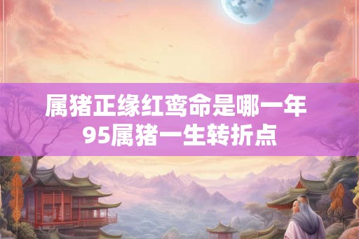 属猪正缘红鸾命是哪一年 95属猪一生转折点