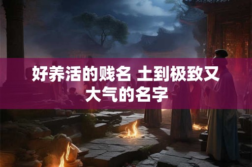 好养活的贱名 土到极致又大气的名字 好养活的贱名 土到极致又大气的名字