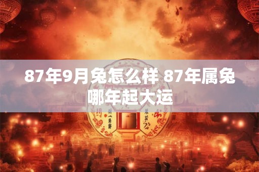 87年9月兔怎么样 87年属兔哪年起大运