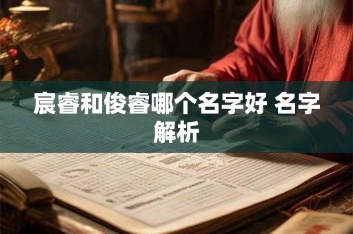 宸睿和俊睿哪个名字好 名字解析