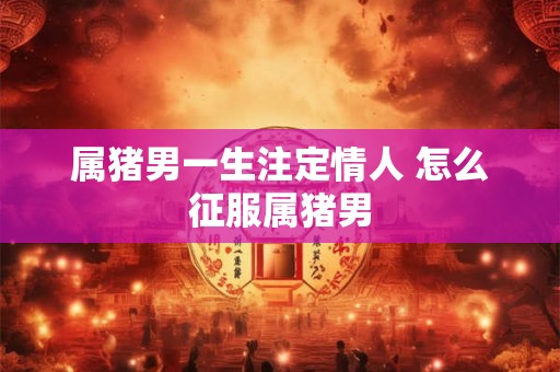 属猪男一生注定情人 怎么征服属猪男
