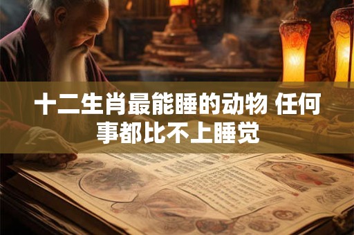 十二生肖最能睡的动物 任何事都比不上睡觉