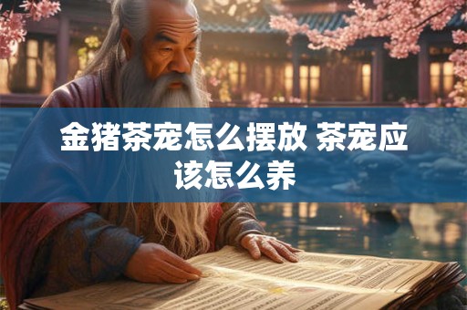 金猪茶宠怎么摆放 茶宠应该怎么养