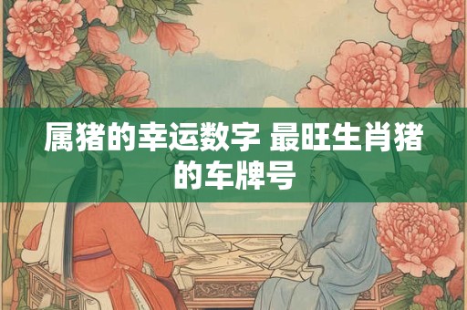 属猪的幸运数字 最旺生肖猪的车牌号