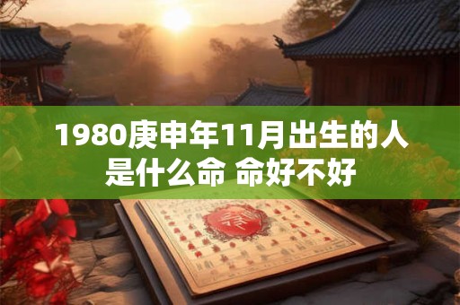 1980庚申年11月出生的人是什么命 命好不好