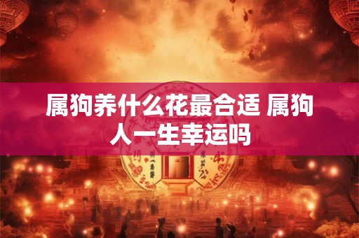 属狗养什么花最合适 属狗人一生幸运吗