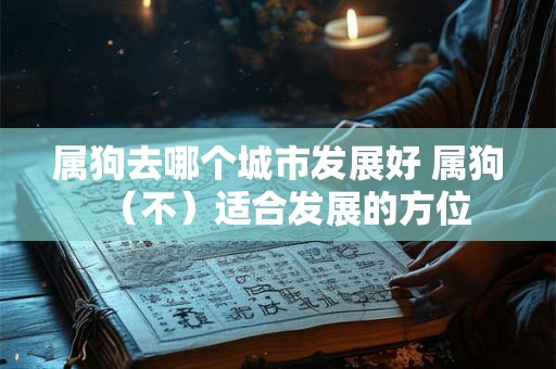 属狗去哪个城市发展好 属狗（不）适合发展的方位