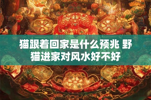 猫跟着回家是什么预兆 野猫进家对风水好不好