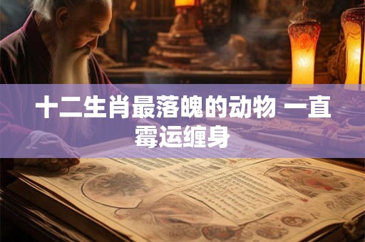 十二生肖最落魄的动物 一直霉运缠身