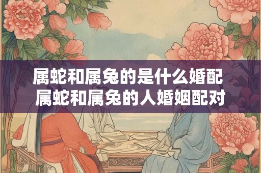 属蛇和属兔的是什么婚配 属蛇和属兔的人婚姻配对