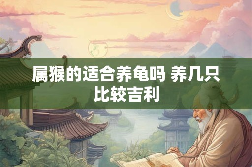 属猴的适合养龟吗 养几只比较吉利
