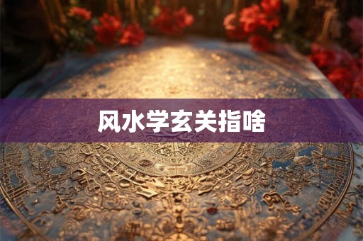 风水学玄关指啥