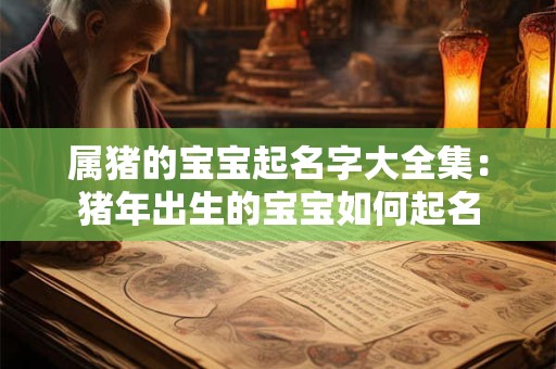 属猪的宝宝起名字大全集：猪年出生的宝宝如何起名