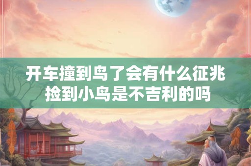开车撞到鸟了会有什么征兆 捡到小鸟是不吉利的吗