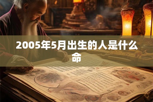 2005年5月出生的人是什么命
