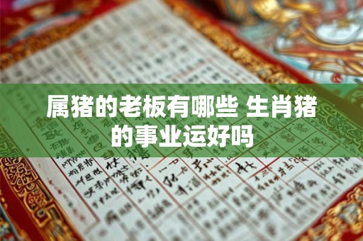 属猪的老板有哪些 生肖猪的事业运好吗
