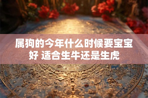 属狗的今年什么时候要宝宝好 适合生牛还是生虎