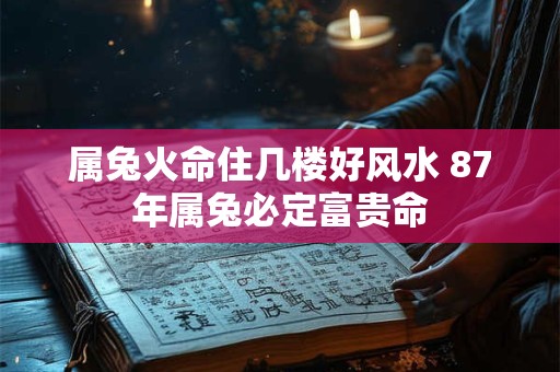 属兔火命住几楼好风水 87年属兔必定富贵命