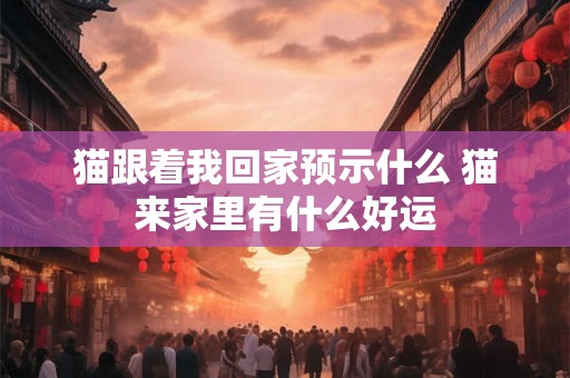 猫跟着我回家预示什么 猫来家里有什么好运
