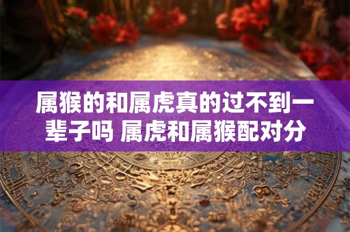 属猴的和属虎真的过不到一辈子吗 属虎和属猴配对分析