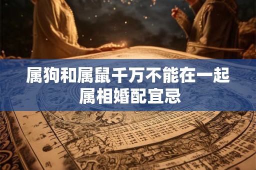 属狗和属鼠千万不能在一起 属相婚配宜忌