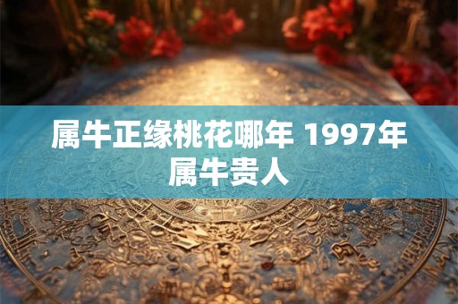 属牛正缘桃花哪年 1997年属牛贵人