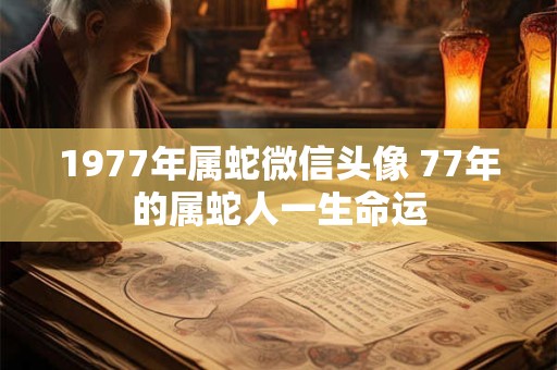 1977年属蛇微信头像 77年的属蛇人一生命运